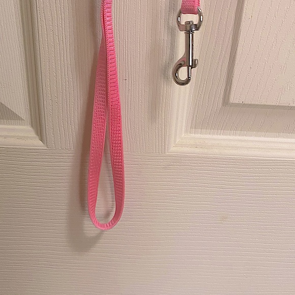 NEW but no tags, Kitten Harness & Lead (leash) - Light Pink - Picture 4 of 4